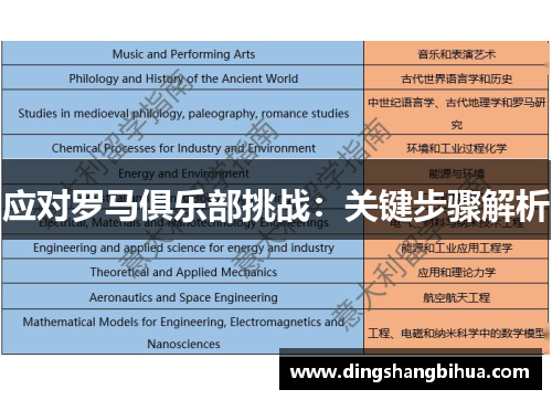 应对罗马俱乐部挑战：关键步骤解析