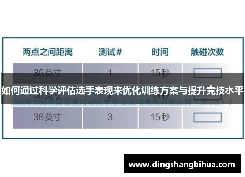 如何通过科学评估选手表现来优化训练方案与提升竞技水平